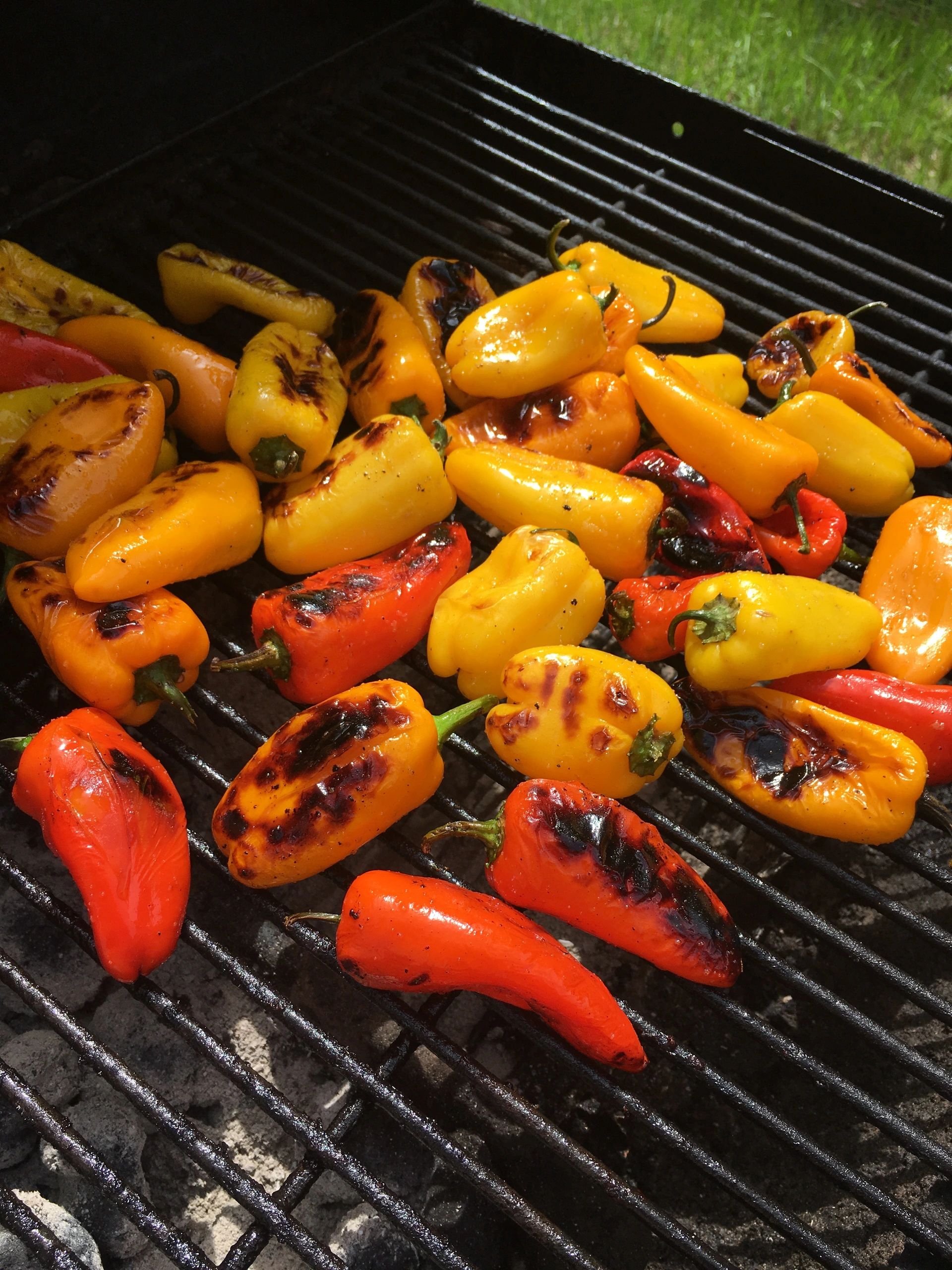 Colorful grilled bell peppers